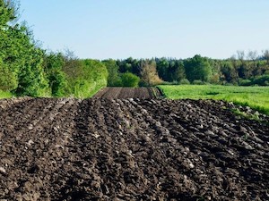 © pixabay/ Agrarböden bieten ein großes Potenzial für Kohlenstoffbindung und stellen somit einen entscheidenden Faktor für den Klimaschutz dar