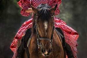 © WenPhotos / Was wohl eine Pferdestärke hat?